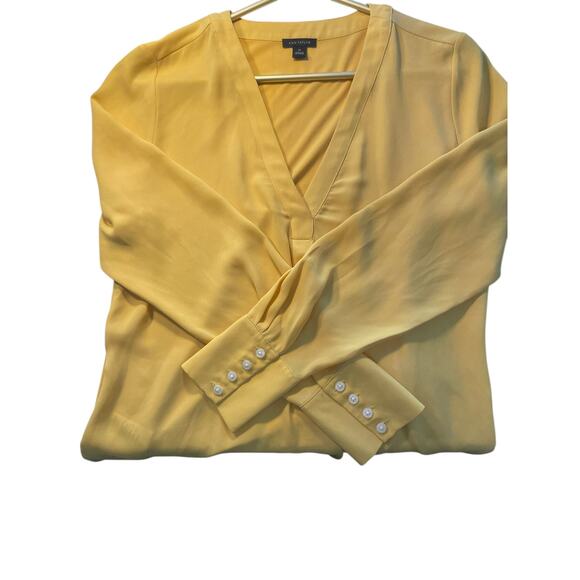 Ann Taylor Blouse – XS, V-Neck, Button Detail, Rounded Hem, Lightweight, EUC - Picture 3 of 5